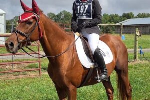 Kendall Reuwer Maryland Death: Beloved Horse Trainer Passed Away Unexpectedly, Community Mourns
