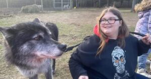 Jaiden Zimmerman Obituary-Death: Clyde Teen and Dedicated North Seneca Ambulance Volunteer Tragically Passes Away, Seneca County NY